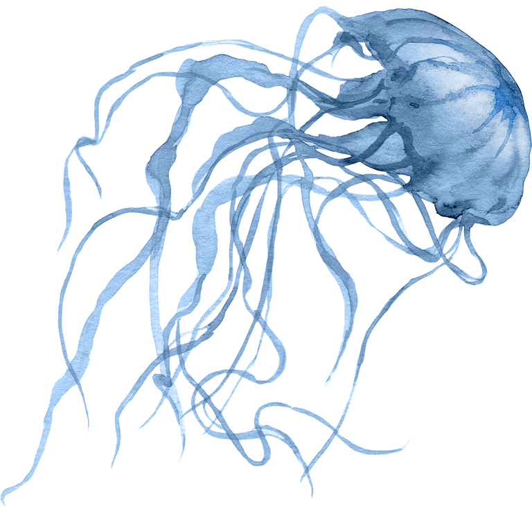 Sea underwater ocean jelly fish Blue Watercolor Texture